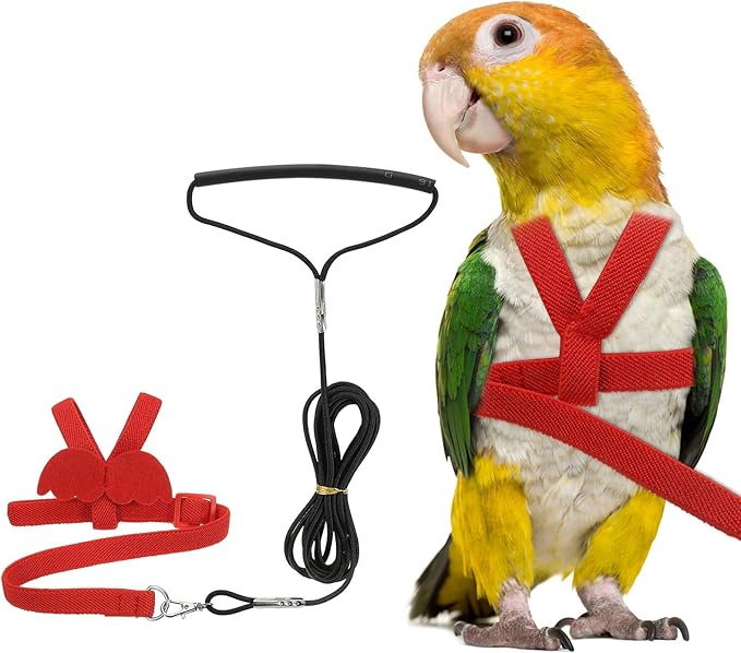 Bird Harness Leash, Adjustable Pet Parrot Bird Harness and Leash Lightweight Anti-Bite Flight Training Rope with Cute Wing, (Red, L), Intended for Parrots/Pigeons/Budgies