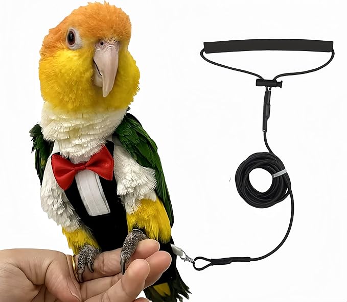 Bird Harness Leather Set Tuxedo Flight Suits with Nappy Diapers Waterproof Inner Layer Urine Wet for Parrot Cockatiel Conure Parakeet Macaw Budgie (4XL)