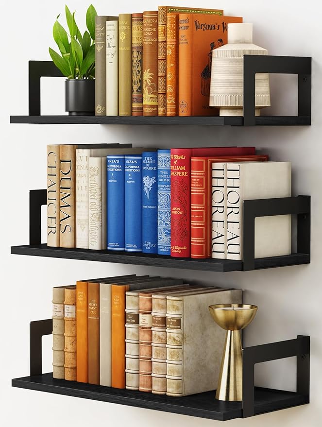 Harwaya Wall Mounted Bookshelf, Floating Bookshelves