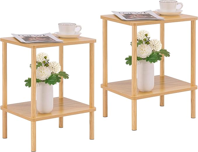 Apicizon 2 Tier End Table Set of 2, Small Side Table