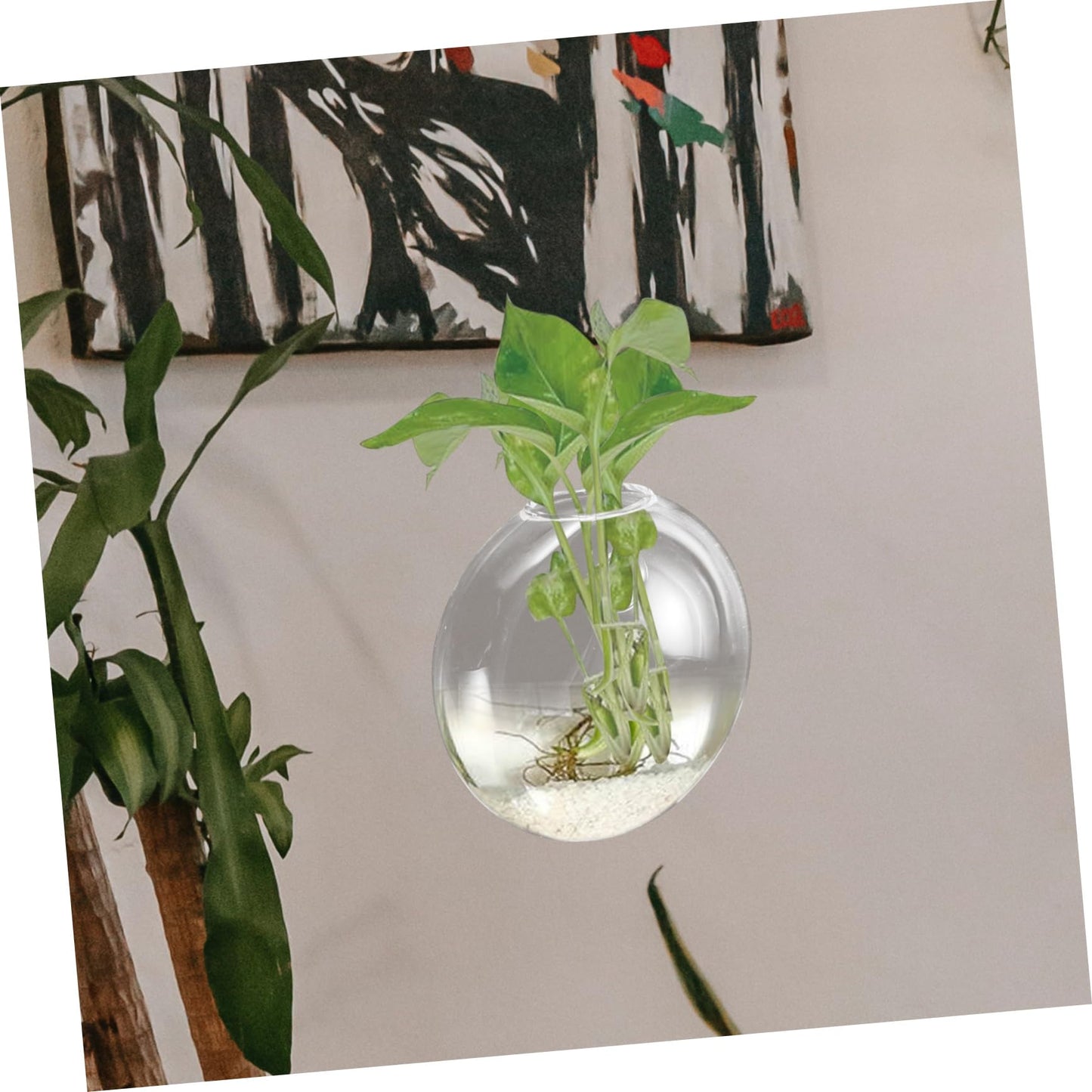 SOLUSTRE Wall Mounted Glass Vase for Hydroponics Plants Hanging Terrarium Planter for Indoor Decor for Propagation Station and Flower Display