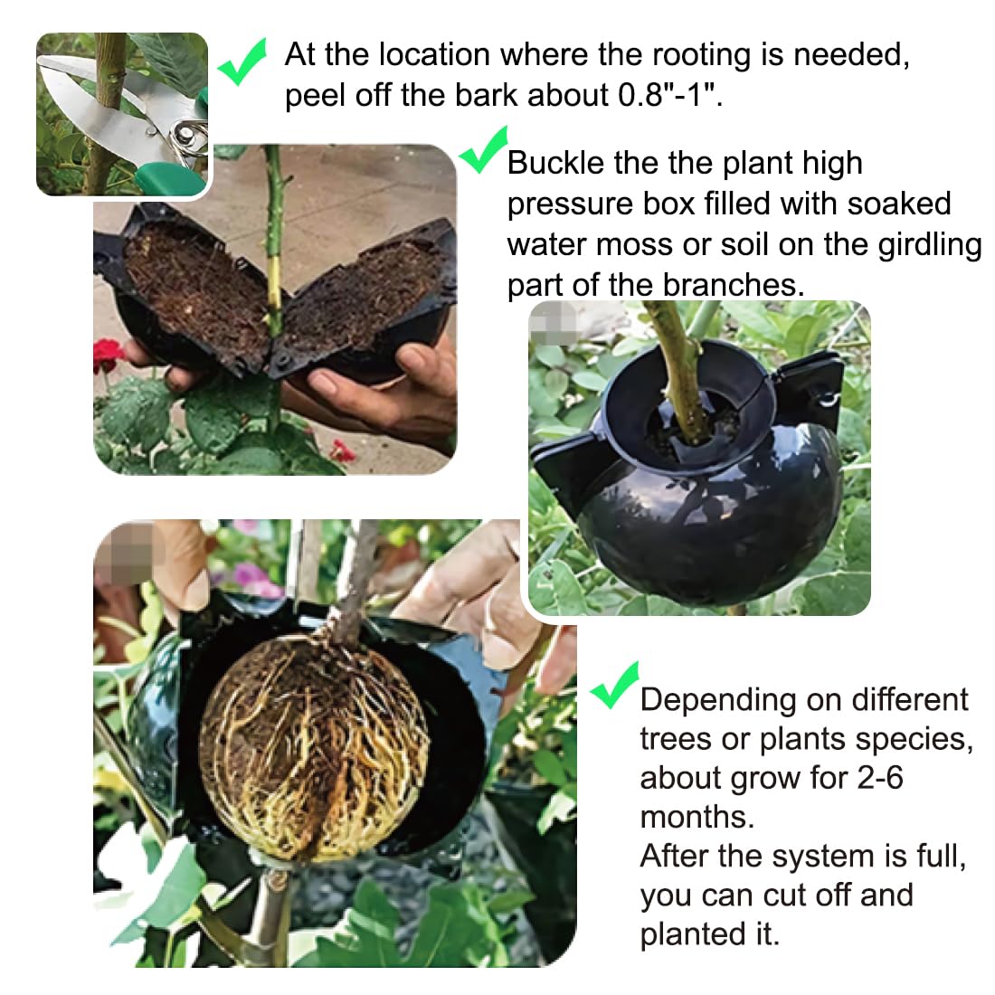 MIIIM 9 PCS Air Layering Propagation Kit, Reusable Half Clear Grafting Ball, Air Layering Pods Clear, Plant Rooting Ball for Fast Propagation (S+M+L)