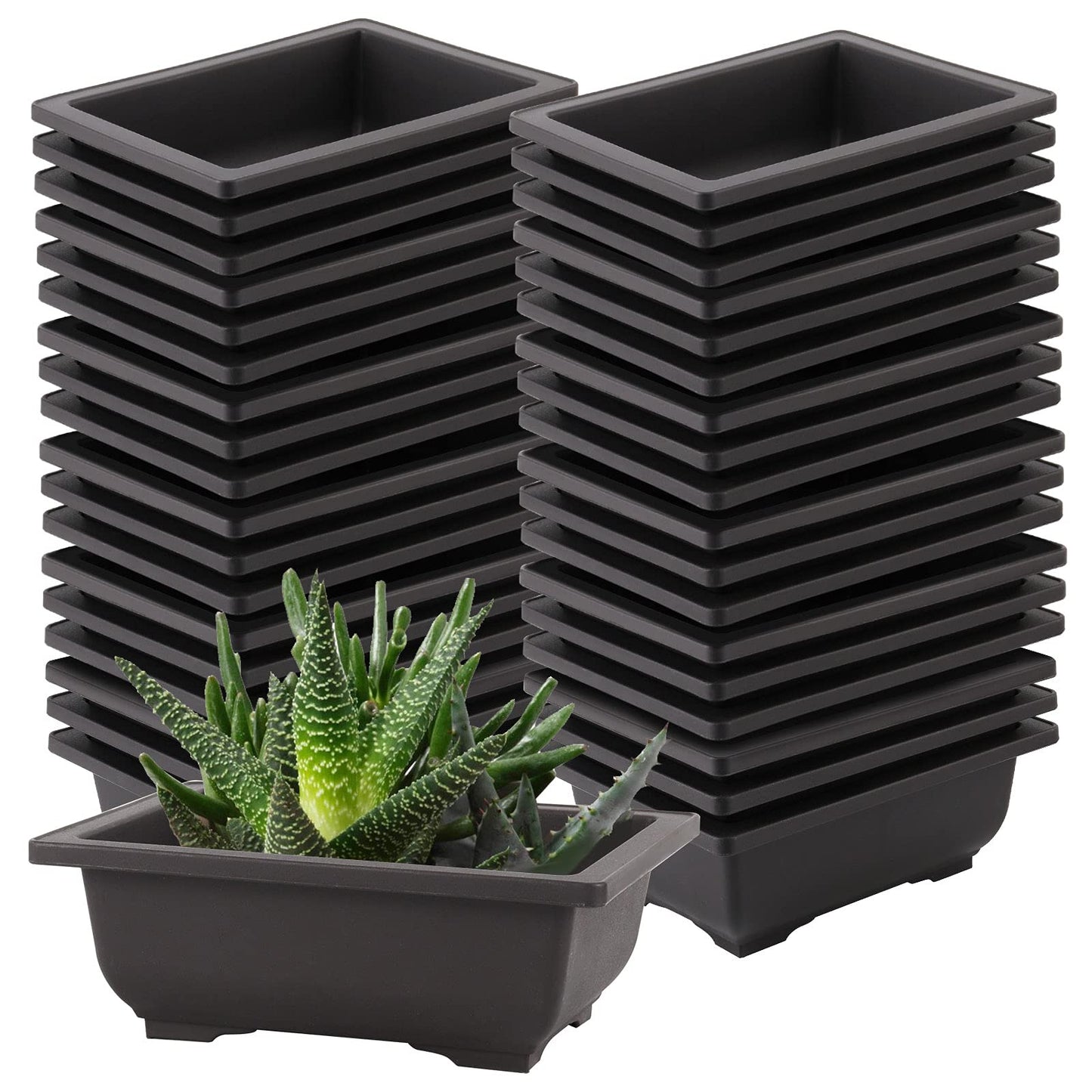 SEUNMUK 30 PCS 6.5 Inch Plastic Bonsai Training Pots, Thicken Rectangular Plastic Growing Pots, Flower Succulent Pots Container, Bonsai Plants Growing Pot for Home, Office, Balcony, Garden and Yard