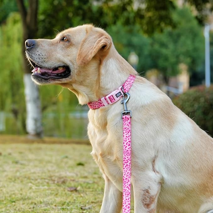 Dog Collar Leash Set, Leopard Pattern, Polyester Material, Adjustable Collar and 5ft Matching Leash, for Puppy Dogs.(XS, Pink Leopard)
