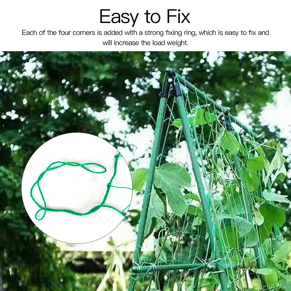 Trellis Netting, PDGROW Climbing Plant Support Net Garden Pea Bean Neting, Heavy-Duty PE Trellis Net for Cucumber, Tomato, Vegetables, Fruits, Sweet Pea Plants (6.6' x 16.4'Ft)