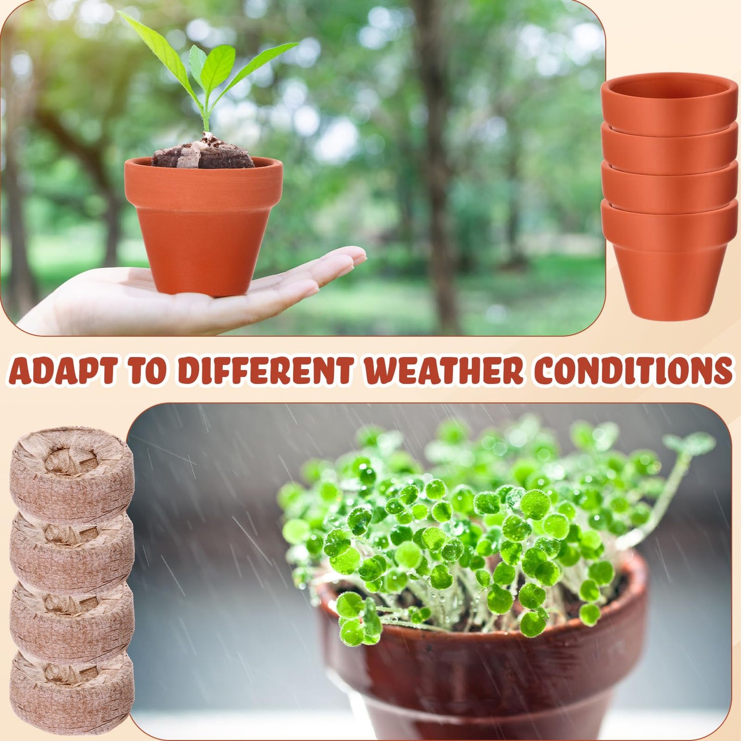 Hushee 72 Pack Small Terracotta Grow Pots with Seedling Blocks Starter Kit for Planting Enthusiasts Indoor Outdoor Plants DIY Garden Plants Gardening Gifts (1.57 x 1.89 Inch)