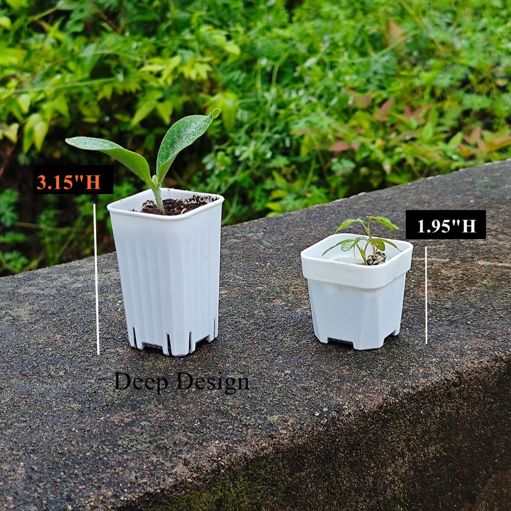 BangQiao 180 Pack 1.95 Inch Tiny White Plastic Square Nursery and Seedling Pot, Mini Deep Transplant Seed Starter Planter with Drain Hole for Germination, Herb, Succulent