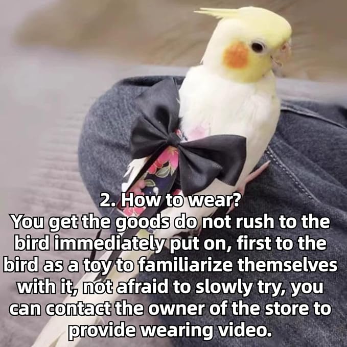 Bird Diaper Parrot Washable Diapers, Parrot Flight Suit, Reusable Nappies for Parakeet Cockatiel Mini Macaw Budgie Conure Lovebird (Beige,Pigeon)