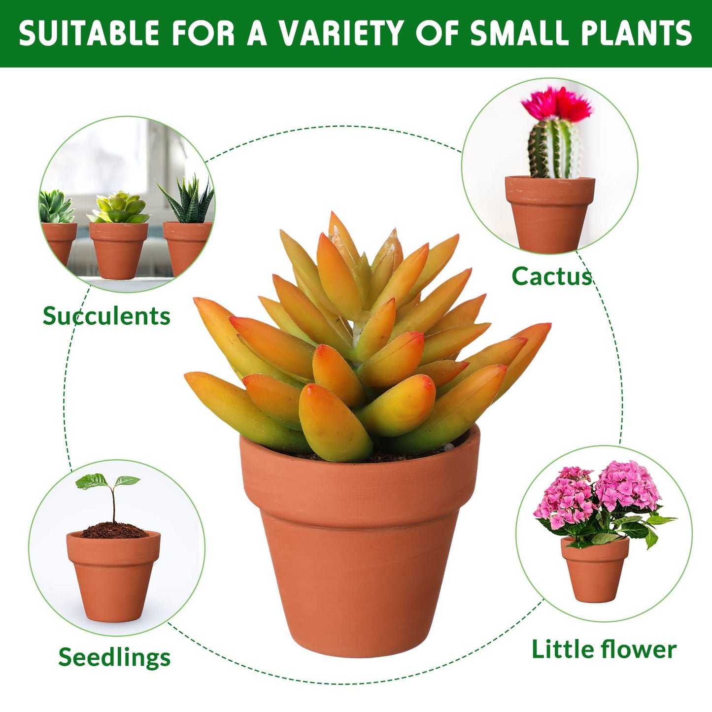 Nuogo 200 Pcs Mini 2" Terracotta Pot Bulk Small Plant Pots, Tiny Clay Pots Nursery Flower with Drainage Holes for Indoor Outdoor Succulent Cactus Plants Crafts Wedding Decorations