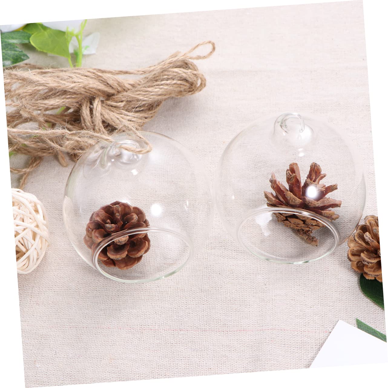 Cabilock 6pcs Clear Hanging Glass Vases Flat Base Design for Succulents and Plants for Terrarium Displays and Wedding Decor Lightweight Borosilicate Glass