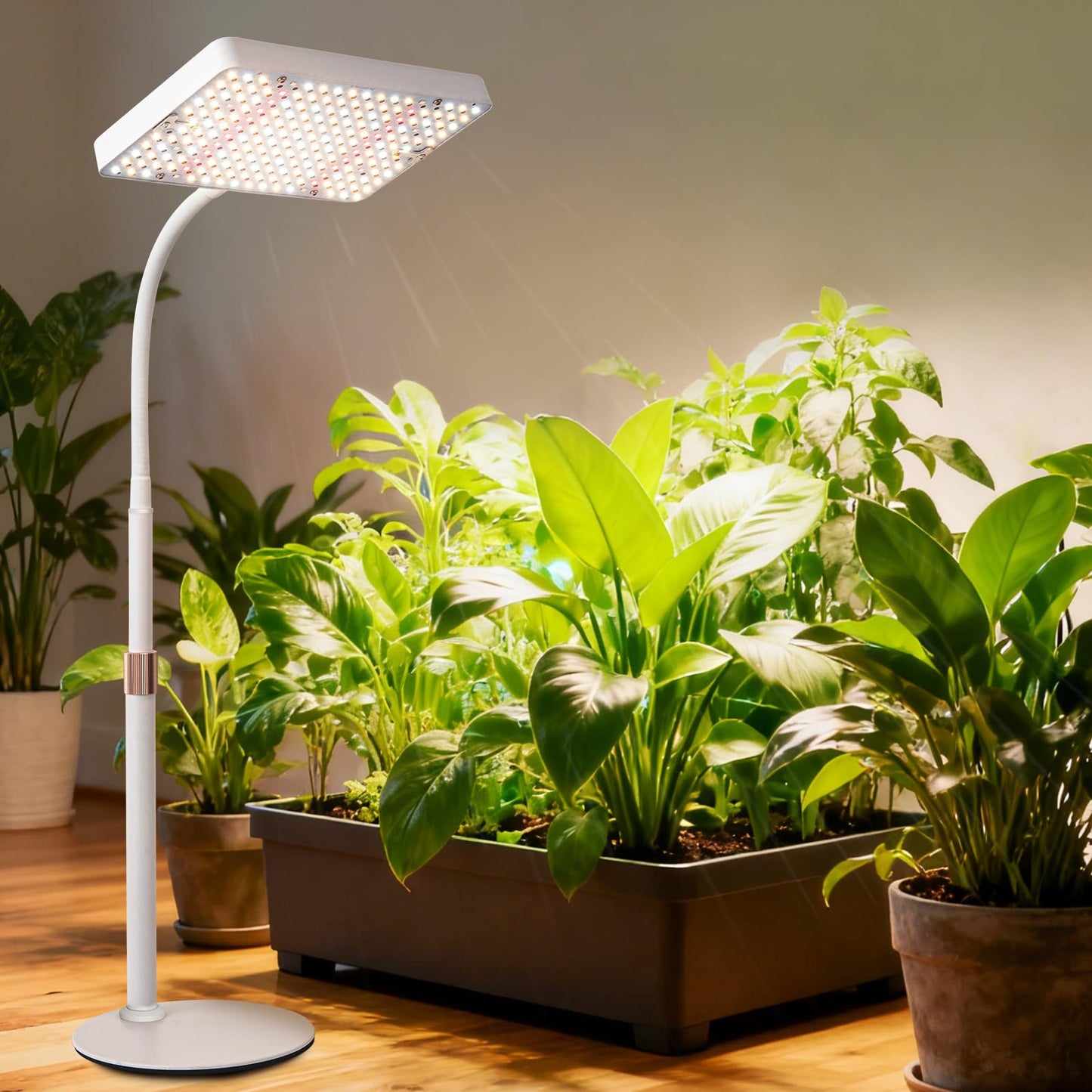JINHONGTO 2Pack Desk Grow Light LED Full Spectrum UV IR, Veg Seed Starting Seedlings Bonsai Houseplant Plant Light, Table Top Grow Lights for Indoor Plants, 16"-24" Height Adjustable