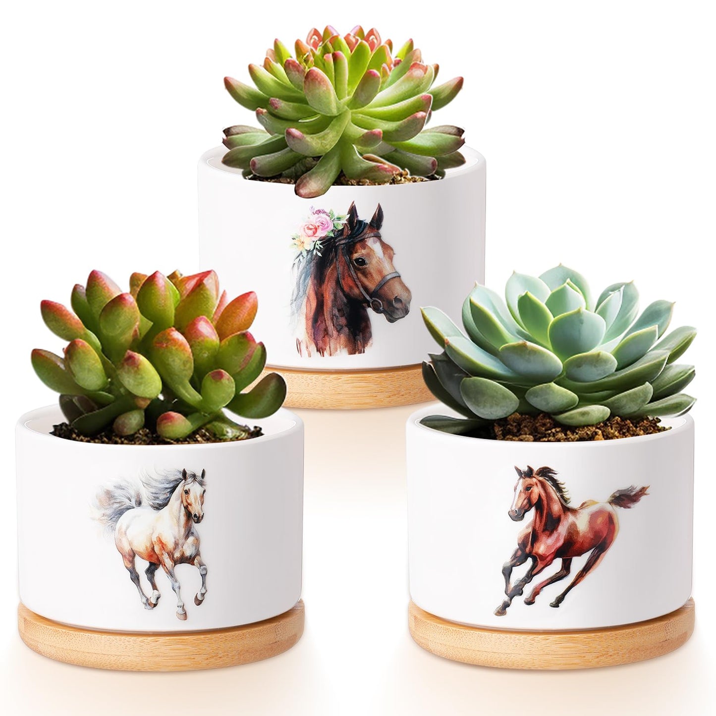 Vesici 3 Pcs Horse Gifts for Women Horse Planter Succulent Pots with Drainage and Bamboo Tray Small Ceramic Succulent Planters Animal Plant Pot for Graduation Office Home Decor Plant Lovers