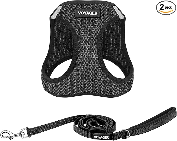 Best Pet Supplies Voyager Step-in Air All Weather Mesh Harness and Reflective Dog 5ft Leash Combo with Neoprene Handle, for Small, Medium and Large Breed Puppies - Set (Gray 2-Tone), Medium