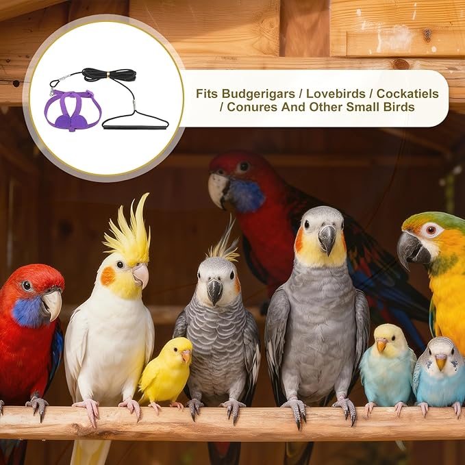 Bird Harness Leash, Adjustable Pet Parrot Bird Harness and Leash Lightweight Anti-Bite Flight Training Rope with Cute Wing, (Purple, M), Intended for Parrots/Pigeons/Budgies
