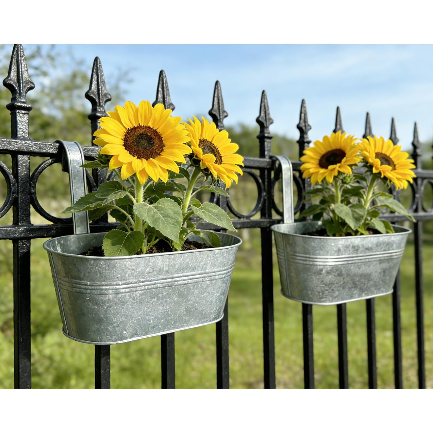 Joyfernal Balcony Galvanized Hanging Planters Railing Flower Pots, Outdoor Metal Fence Planter Pot with Detachable Hooks Drain Hole for Garden Patio Yard Decor (10 Inch, 2Pcs)