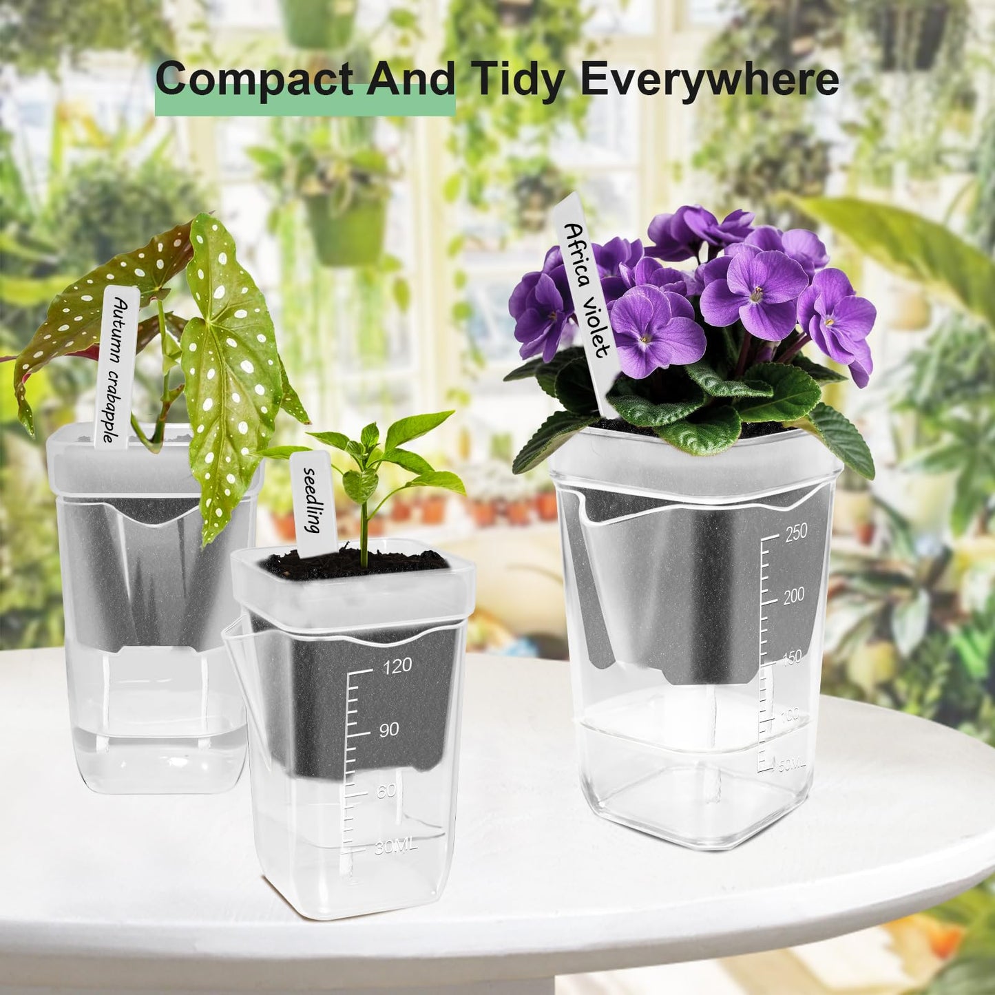 ZPAIO 10 Pack 2.5" Mini Self Watering Pots for Indoor Plants, Small Clear Plastic Planters with Drainage & Water Level, Semi Hydroponic Pots for African Violet, Propagation and Succulents