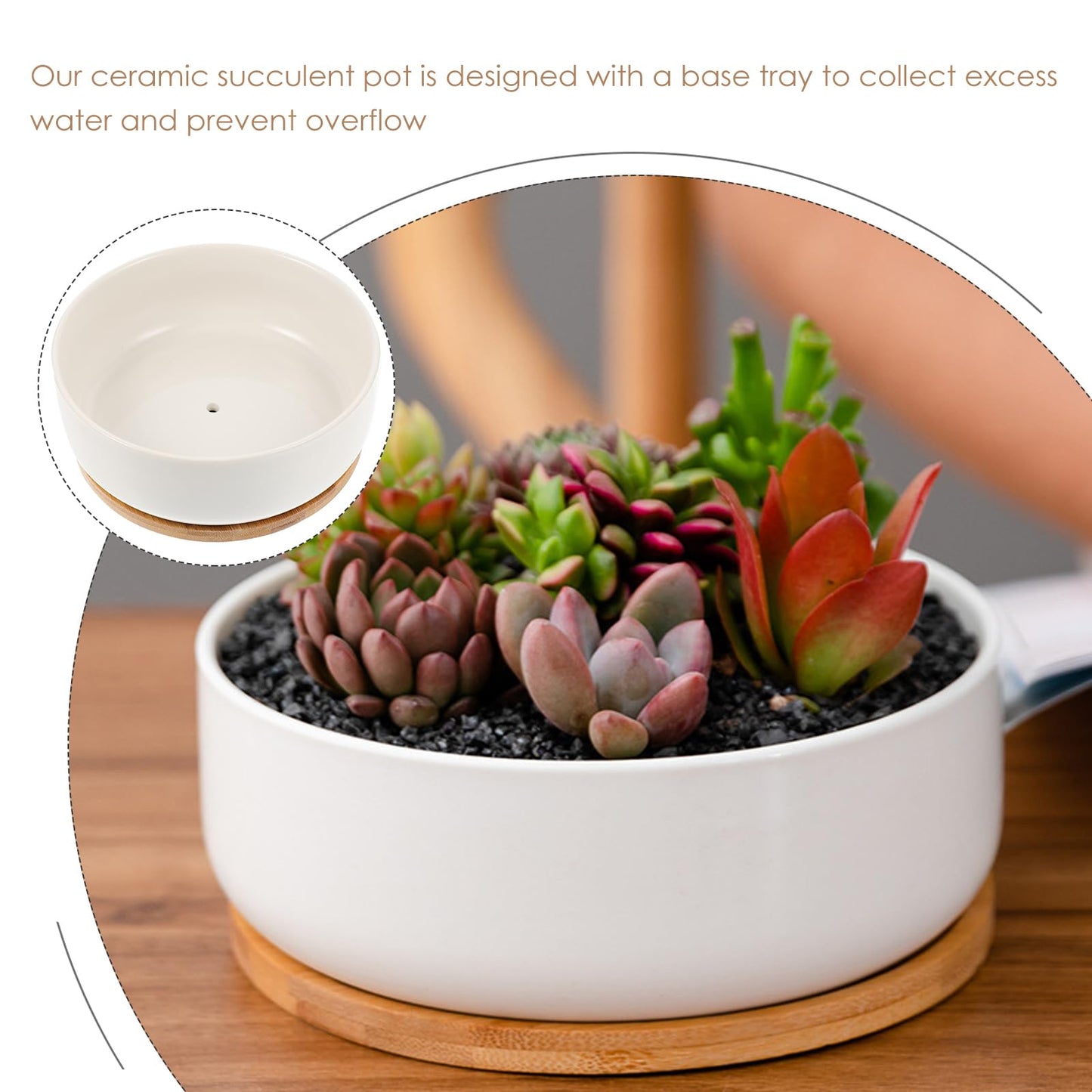 Toddmomy Ceramic Flowerpot Indoor Plant Pot Mini Bowl Planter Succulent Houseplant s Small Bonsai s Funny Plant s Ceramic Bonsai Planter White