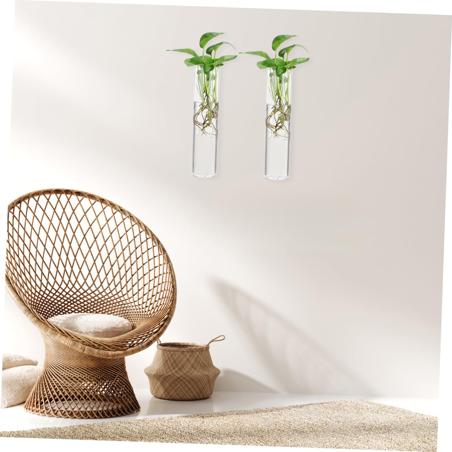 ibasenice 2pcs Hanging Propagation Planters Wall Mounted Flower Tube Vase Glass Terrarium Plants Holder Wall Vase for Flowers