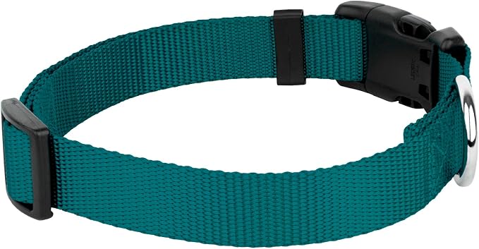 Country Brook Petz - Everyday Nylon Dog Collar and Leash - 10+ Cool Colors (3/8 Inch, 3XS, Teal)