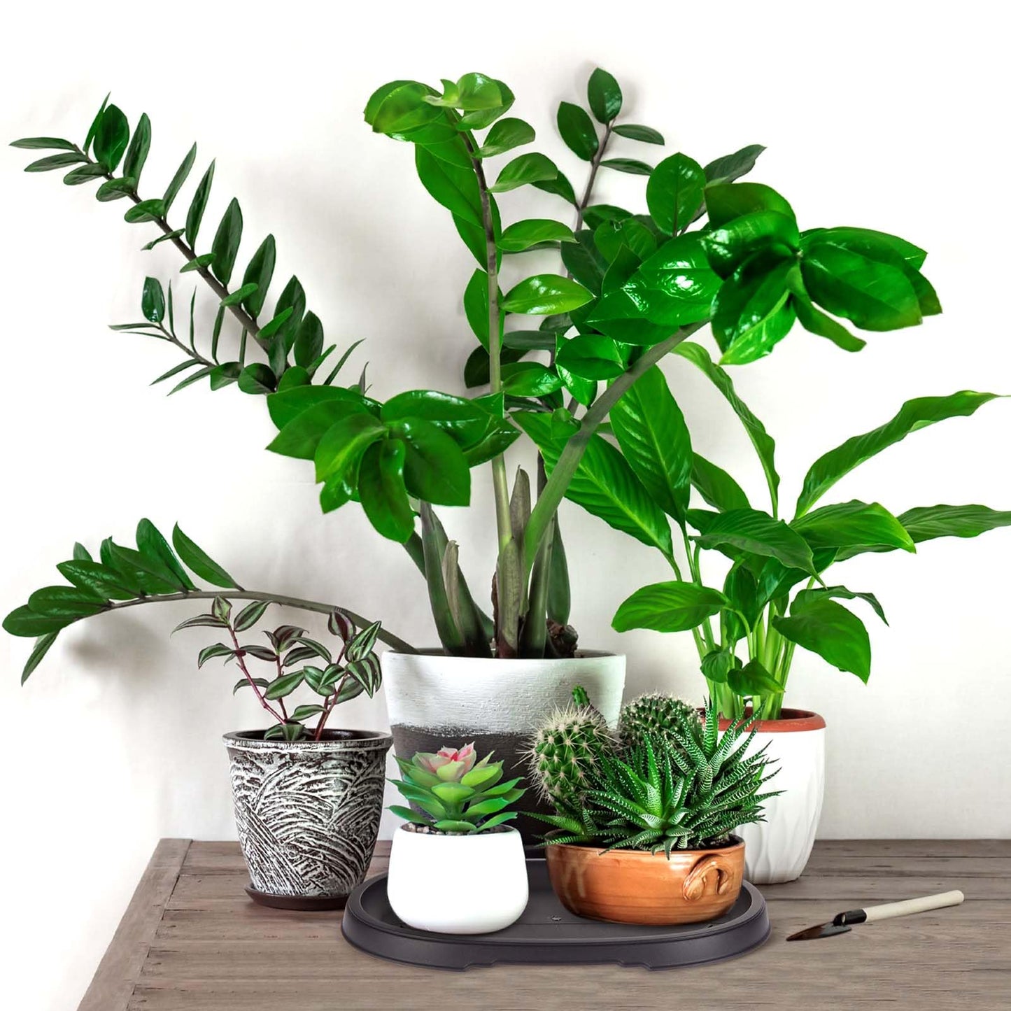 Pinkunn 2 Pack Bonsai Humidity Tray Drip Tray Plastic Plant Water Catcher Plant Saucers for Indoors and Outdoors Cactus, Succulents, Bonsai Tree, Stone Not Included (12.7 x 8.3 Inch)