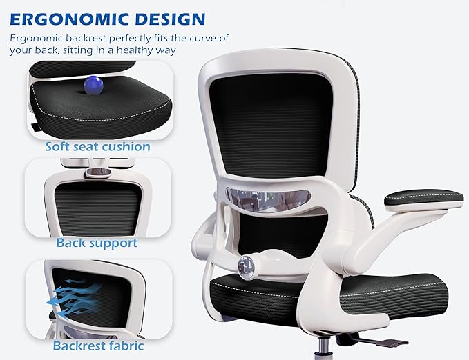 TRALT Ergonomic Office Chair