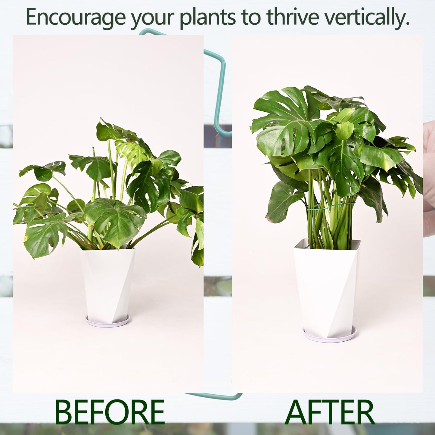 Yohsnor 5PCS Monstera Plant Support Stem 9 x 7.6 in- Durable Stabilizer Set for Indoor Climbing Plants, Holders for Enhancing Growth, Ideal Gift for Plant Lovers, Fishbone Cactus Stake Garden Tool