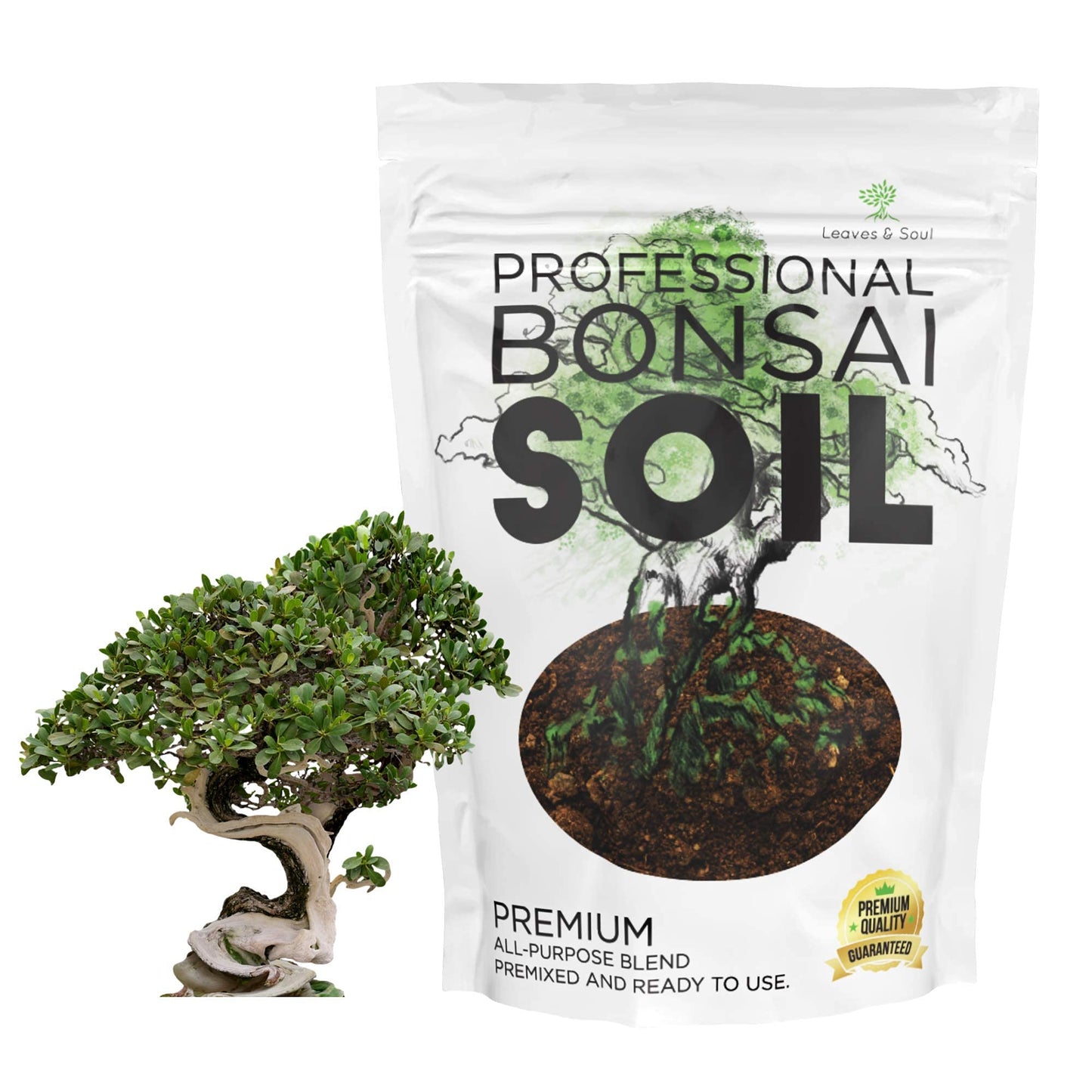 Leaves and Soul Complete Bonsai Kit – Green Oval Ceramic Pot with Soil, Fertilizer, 160ft Training Wire, Cutter & Storage Bag | DIY Bonsai Repotting Starter Kit for Tree Growing