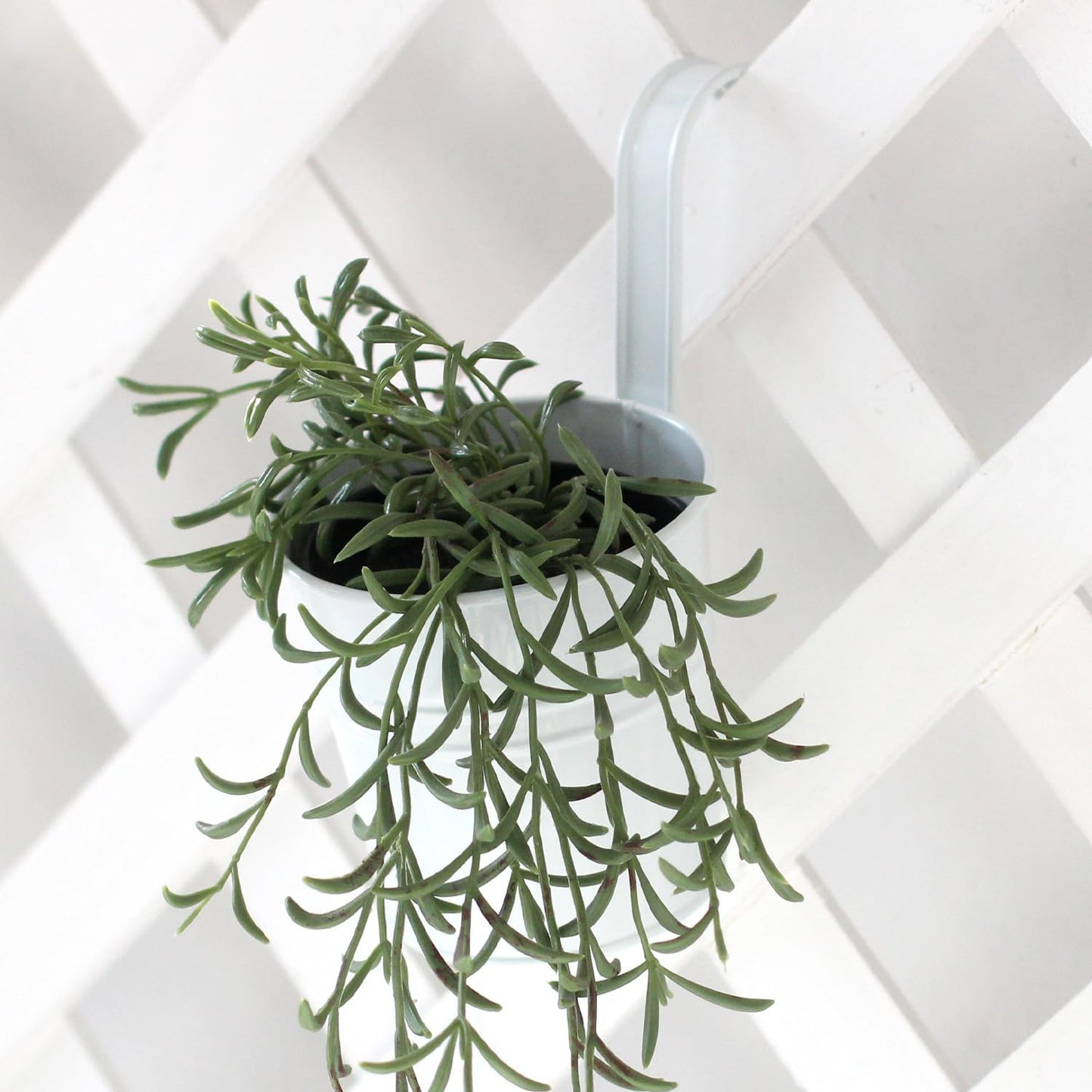Leoyoubei 4inch Hanging Flower Pots for Outdoor Indoor Plants with Removable Hooks -5 Pack White Metal Buckets Hanging Plant Pots Wall Fence Home Decor-Small Storage Box,Drainage Holes