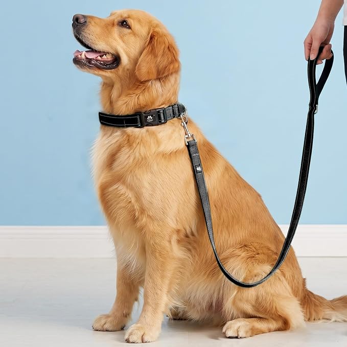 FURRYFECTION Reflective Dog Collar and Leash Set with Quick Release Buckle, Padded with Neoprene Adjustable Nylon Dog Collar for Small Medium and Large Dogs (Small Collar+5FT Leash, Black)