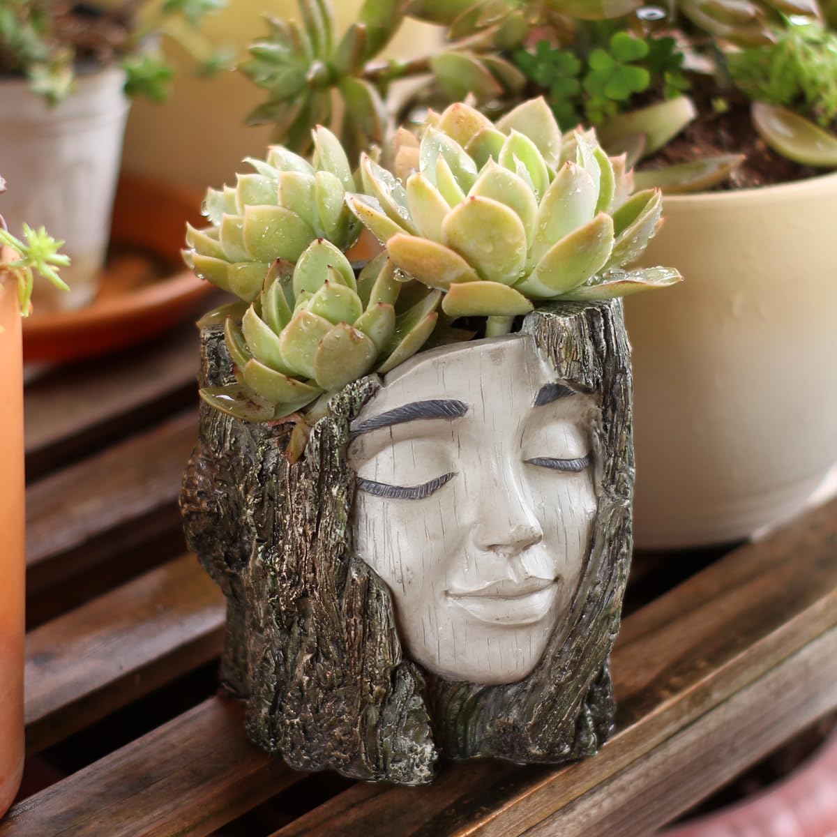 YOYLMAL Tree Stump Face Planter Pot, 4.9” Resin Women's Head Succulent Planter for Indoor Outdoor Plants, Unique Flower Pot with Drainage Hole, Gifts for Women Mom