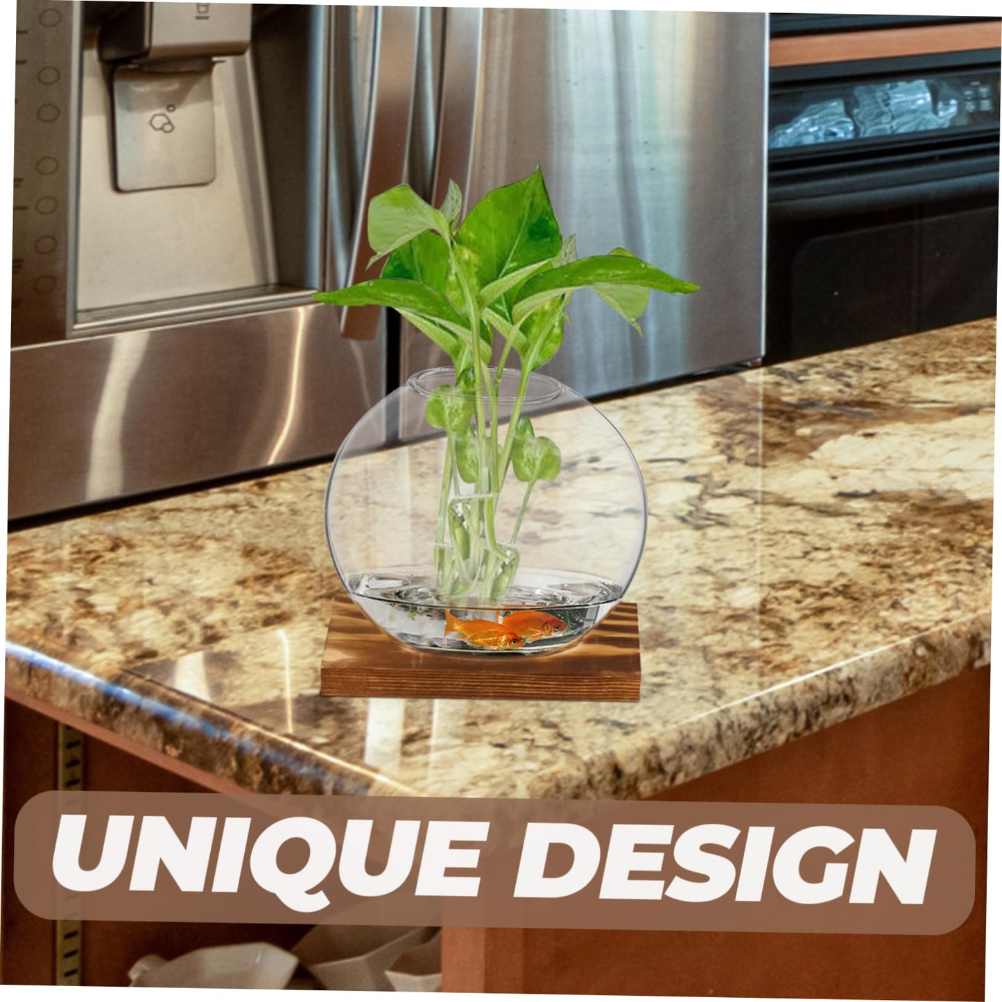 BESPORTBLE 4sets Glass Plant Terrarium Wall Garden Indoor Decorative Plant Vase for Home Decor