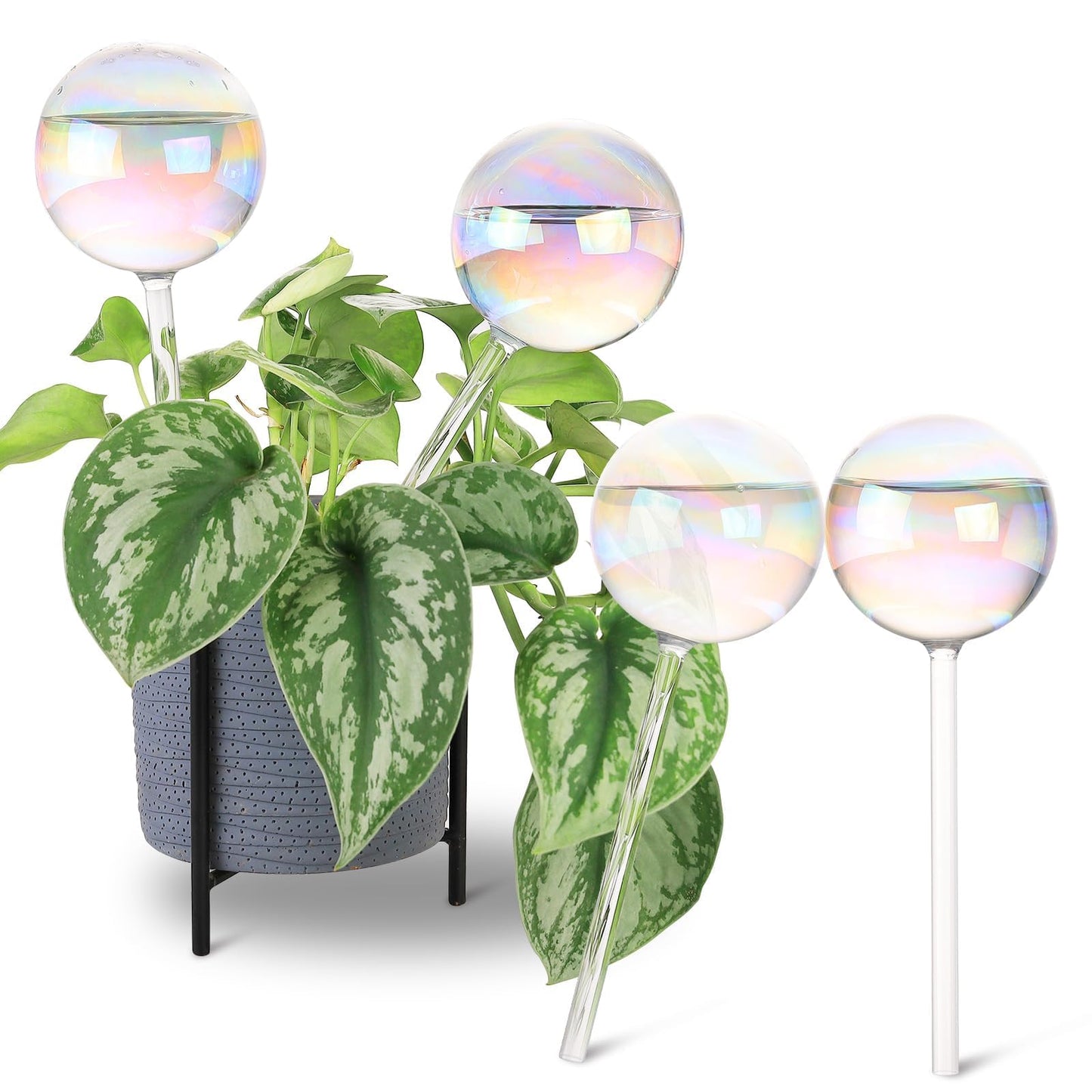 Soilagua 13 oz Up to 2 Weeks Extra Large Plant Self Watering Globes, Light Iridescent Glass Water Bulb Indoor, Plant Waterer Self-Watering Stakes, Perfect Gardening Gifts, 4 Pack