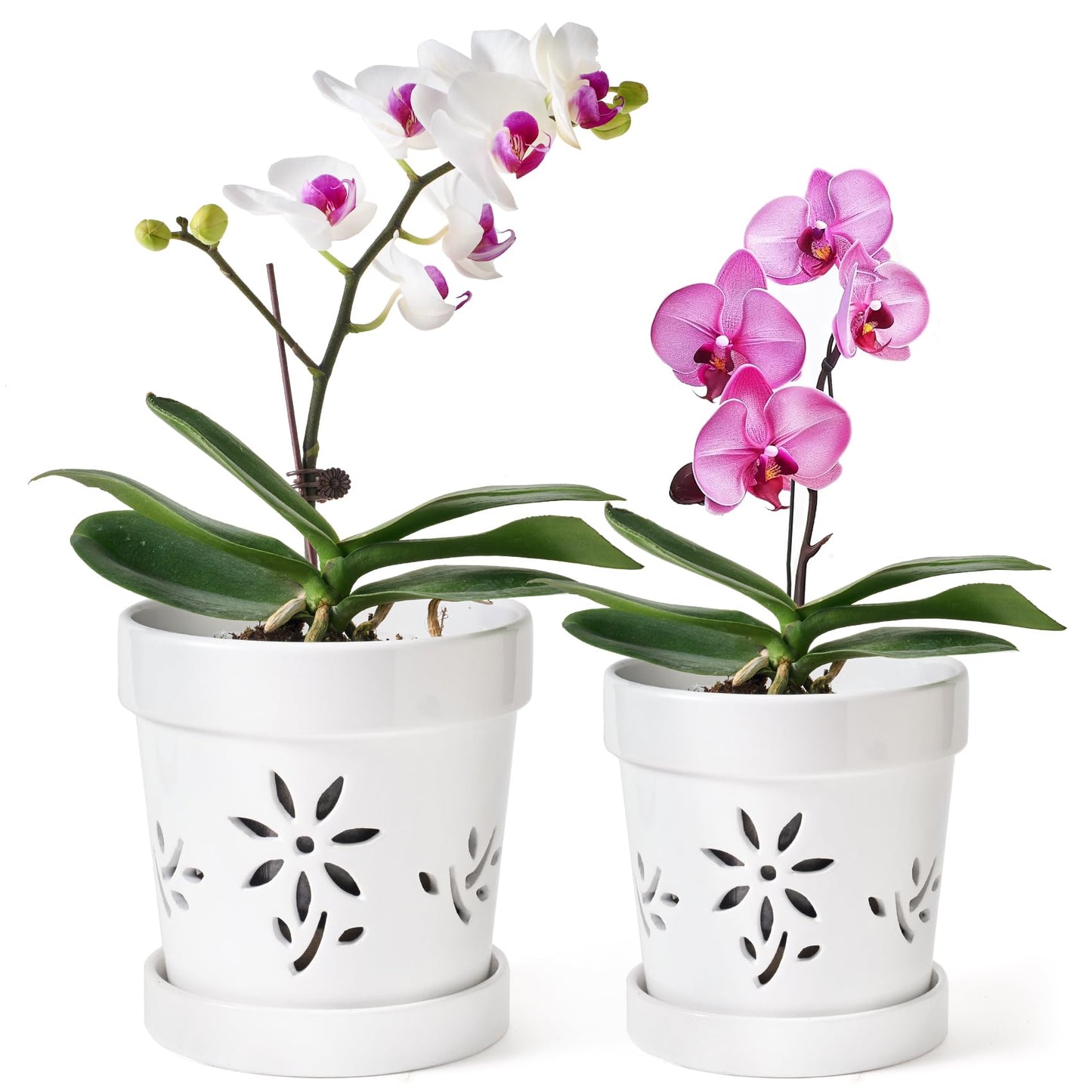 STHIE Small Orchid Pots with Holes 5 Inch & 6 Inch, Ceramic Orchid Pots for Repotting, 2 Pack Breathable Slotted Orchids Planter, White Flower