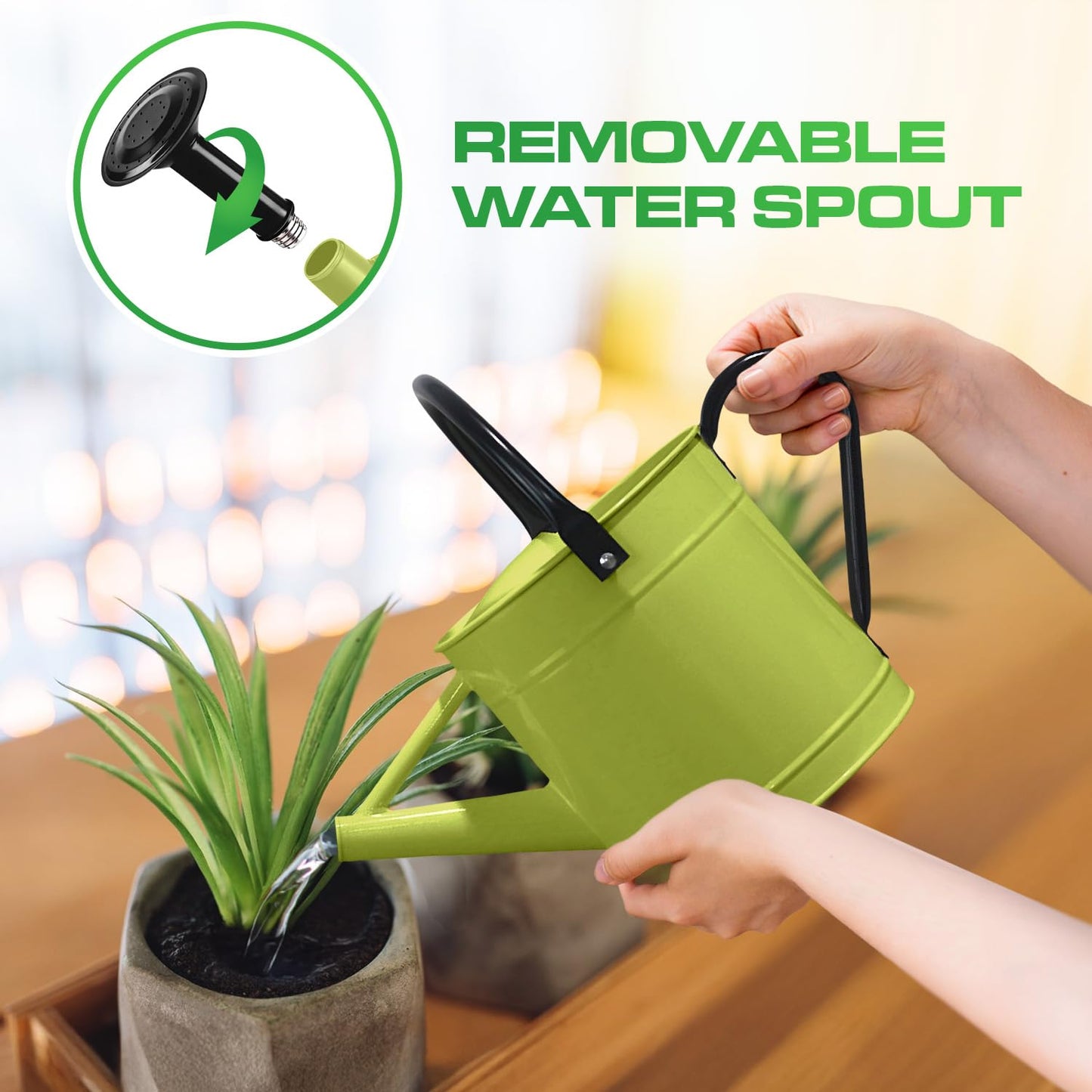 Plexon Metal Watering Can Outdoor 1 Gallon, Flower Plant Gardening Garden Large Green Watering Can Pot, Galvanized Steel Handles - Removable Spray Spout, Green