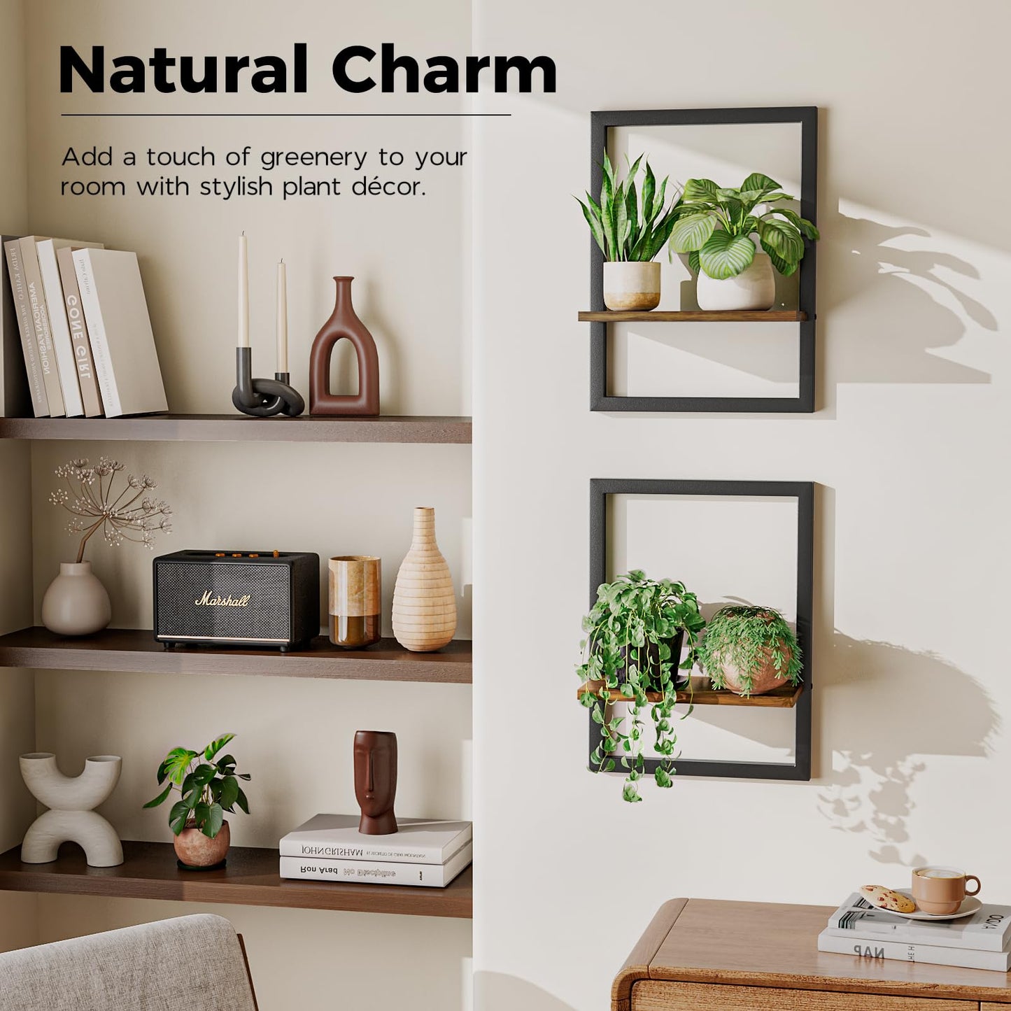 Bamworld Wall Plant Holder Hanging Planters for Indoor Plants Frames Decor Wall Planters for Small Pots Floating Shelves for Living Room Window