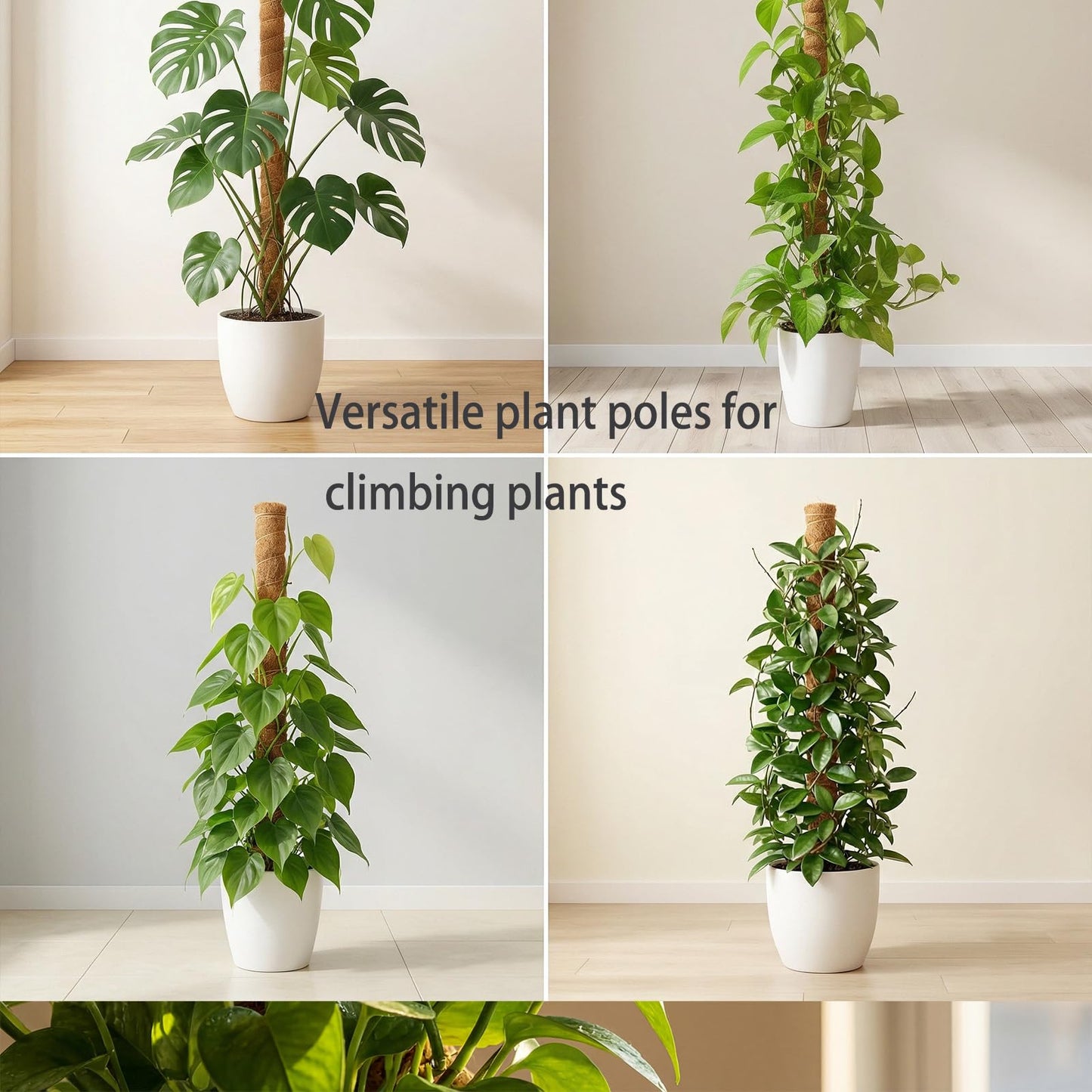 BIESTJP Monstera Plant Support,Bendable Coco Coir Pole for Monstera Plant Supports Indoor Plants, 63 inch Moss Pole Support for Climbing Plants