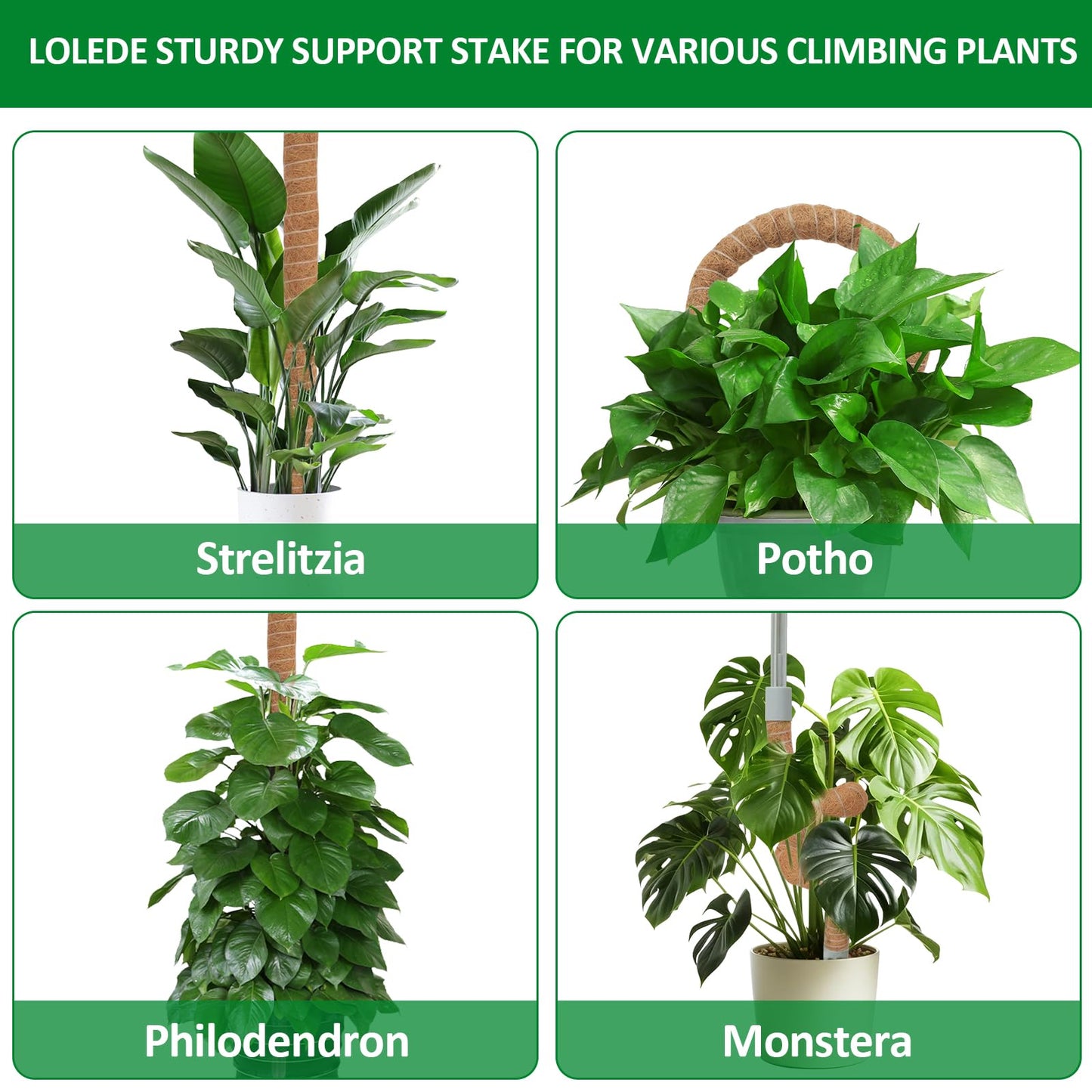 LOLEDE 4 Pack Moss Pole, 27.5 Inches Bendable Coco Coir Poles Monstera Plant Support for Climbing Indoor Plants, DIY Plant Stakes Kit Support for Pothos, Philodendron,Potted Plants