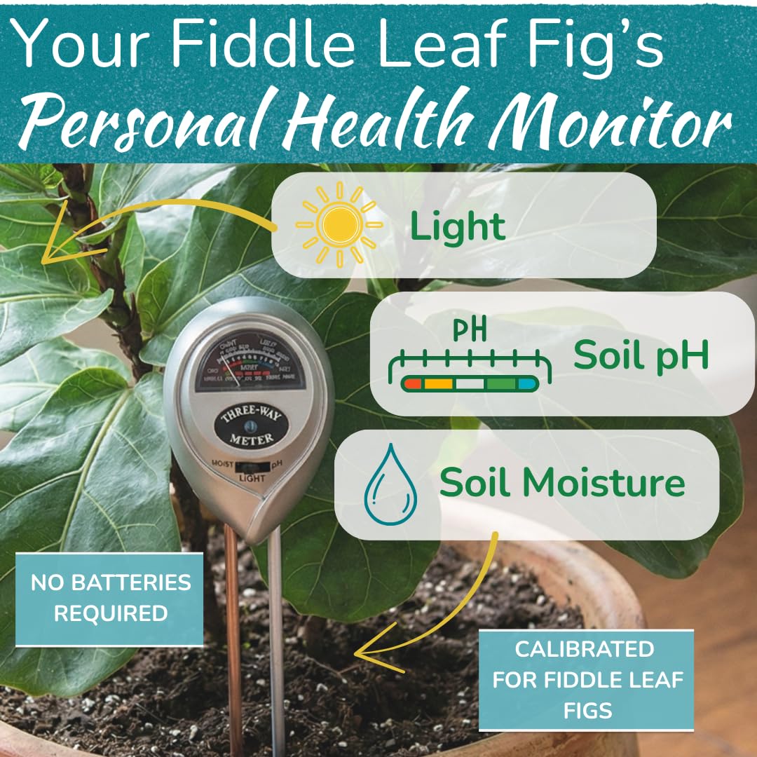 Houseplant Resource Center Fiddle Leaf Fig 3-in-1 Soil Moisture Meter for Plants – Best Indoor Plant Water Meter for Potted Houseplants - Light & Moisture Sensor Probe for Optimal Growth