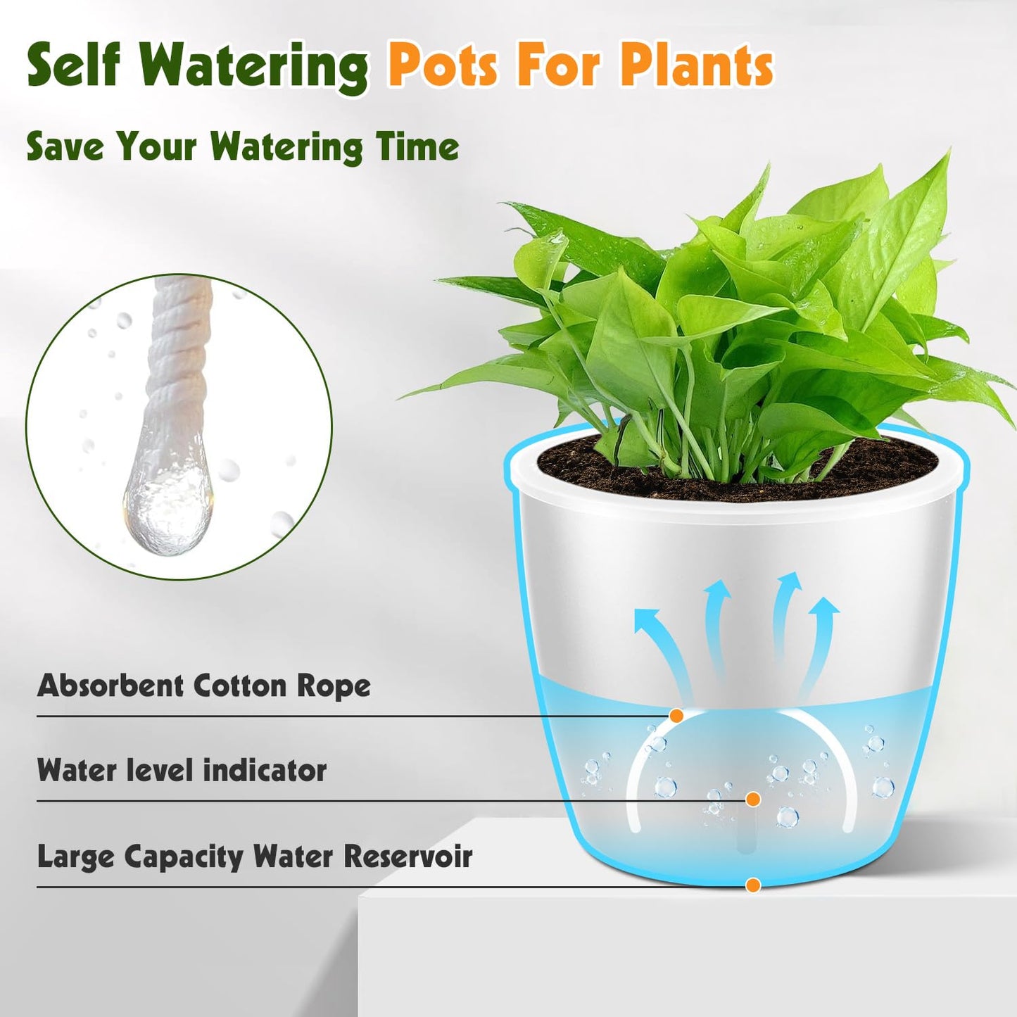 KvyusFlourish Self Watering Pots for Indoor Plants, 6-Pack 5'' Self Watering Planter with Drainage Holes, Small African Violet Pots with Water Indicator, Clear Wick Orchid Pot, White