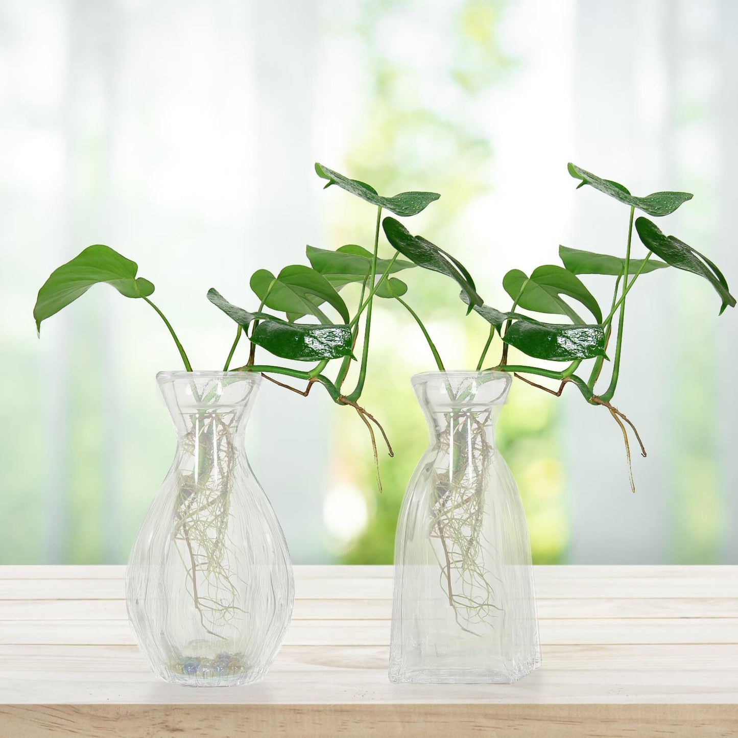 JECOMPRIS 4pcs Creative Glass Flower Vases Set, Unique Indoor Terrarium Vase for Desktop Home Décor, Glass Container for Hydrating Green Plants and Flowers