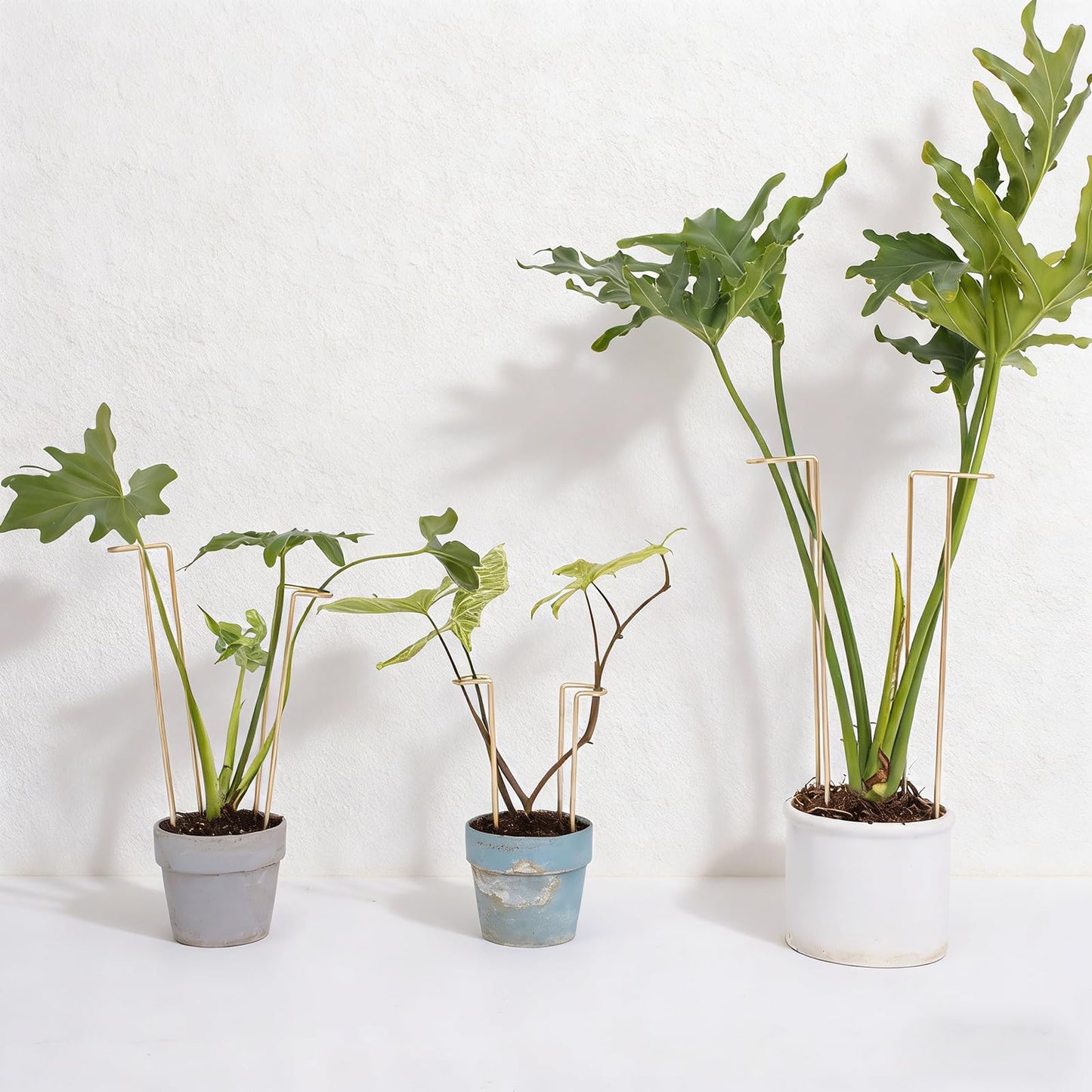 GOOOXIM 8.7 Inch Indoor Plant Trellis -10 Pack Small Gold Plant Supports for Outdoor Plants, Monstera Trellis Stakes & Stem Holders, Durable Iron Garden Flower Support for Young Plant Growth