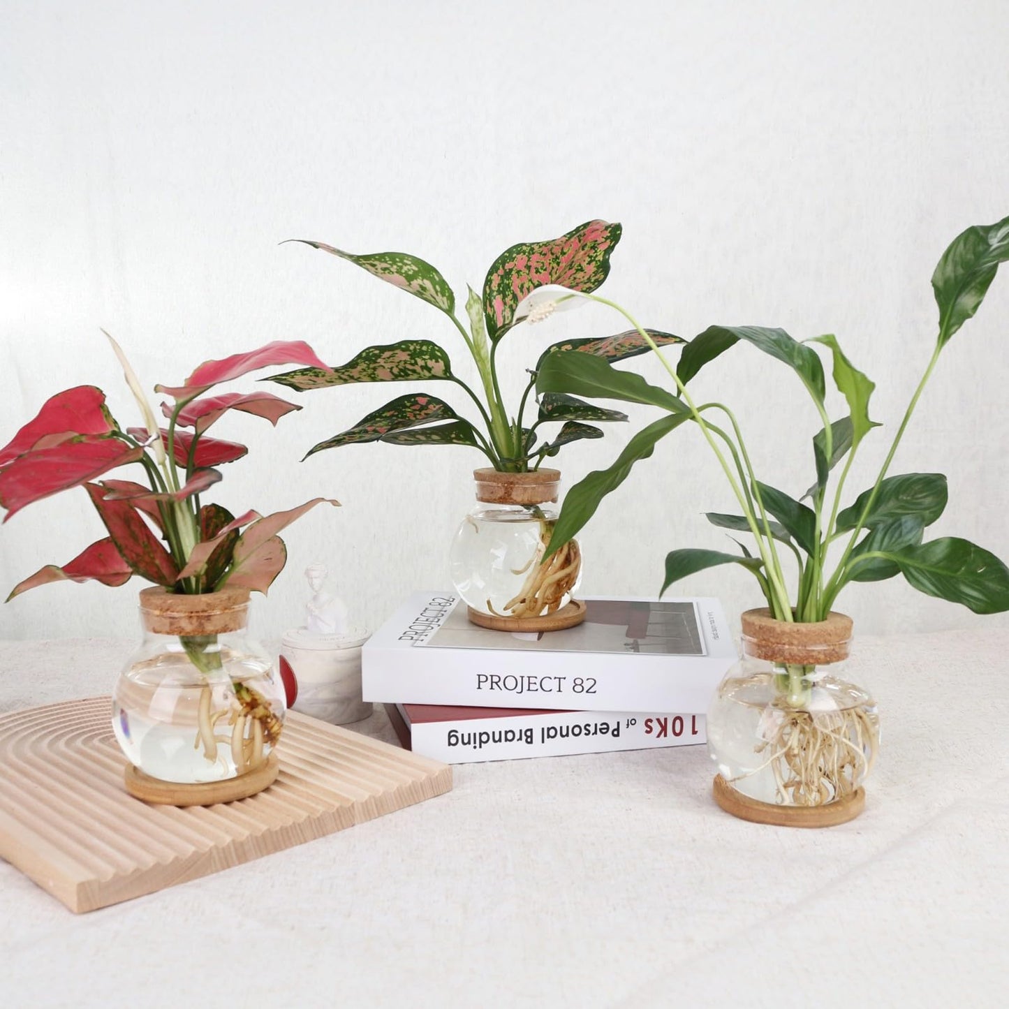 CHPINDAM Plant Propagation Station,Hydroponic Glass Container Vase Jars, with Wooden Saucer for Desks, Houses, Garden Decorations, Home Kitchen Decorations and Gifts for Plant Lovers (9)