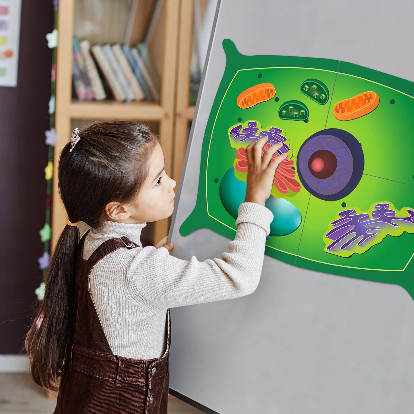 Leitee 18 Pcs Magnetic Plant Cell Model Kits Giant Teaching Resources Early Biology Cell Anatomy Model Life Science Teaching Aid for Whiteboard Learning Tools Educational Classroom Activities