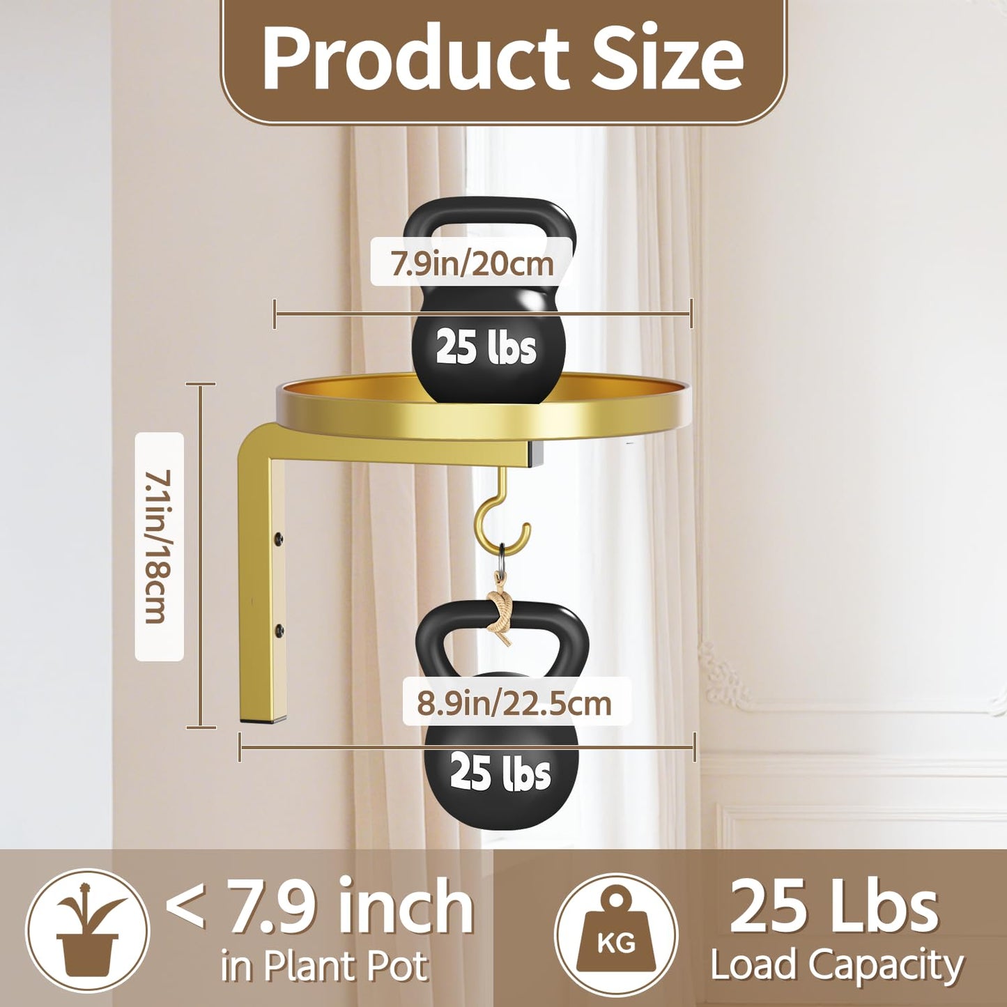 LASZOLA Plant Hangers Shelves Wall Mounted Indoor, Metal Window Plant Holders, 2Pcs Modern Floating Flower Display Stand with 2 Hooks for Outdoor Kitchen Bathroom Decor, Gold
