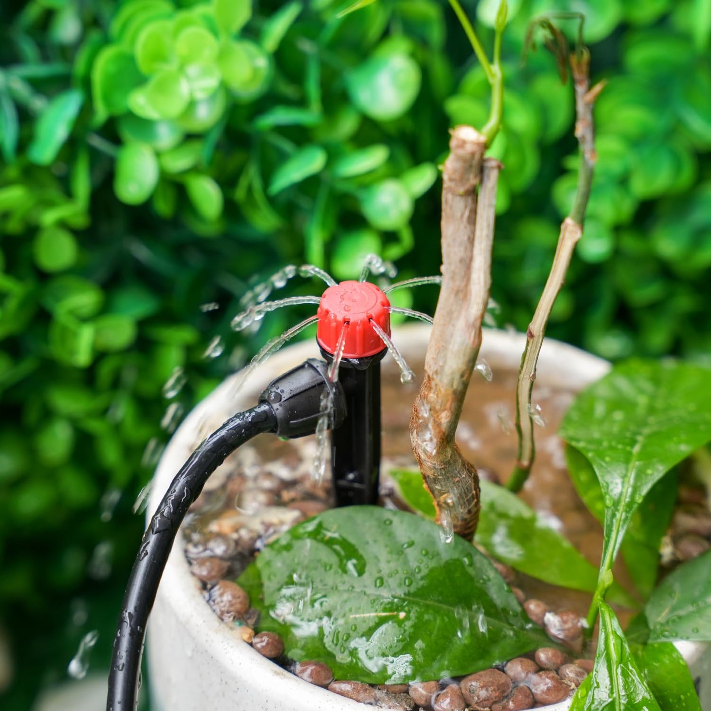 RedChili 50 Pieces Drip Emitters for 1/4" Drip Irrigation Tubing, Adjustable 360 Degree Stream Drip Emitters with Stake 360° Full Circle 8 Hole Stream Emitters Garden Irrigation Micro Drippers