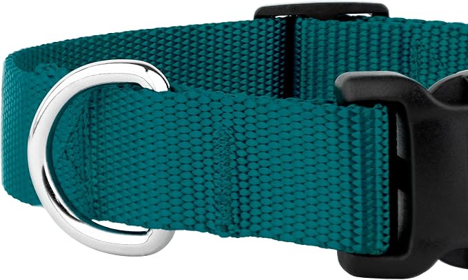 Country Brook Petz - Everyday Nylon Dog Collar and Leash - 10+ Cool Colors (1 Inch, Large, Teal)