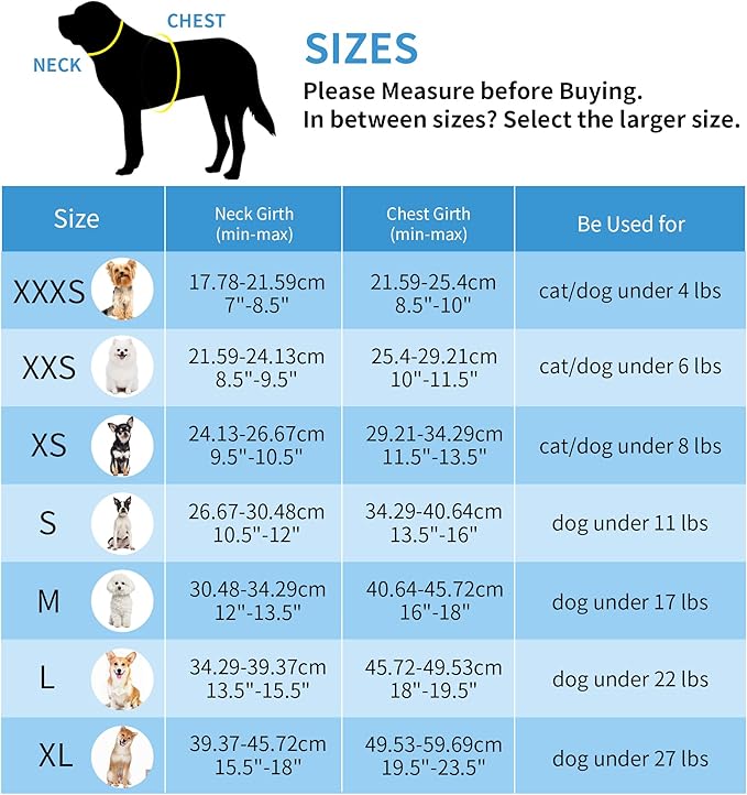 AIITLE Step in Dog Harness and Leash Set - No Pull Escape Proof Vest Harnesses with Soft Mesh and Reflective Bands, Adjustable Pet Outdoor Harnesses for Small and Medium Dogs Pure Turquoise M