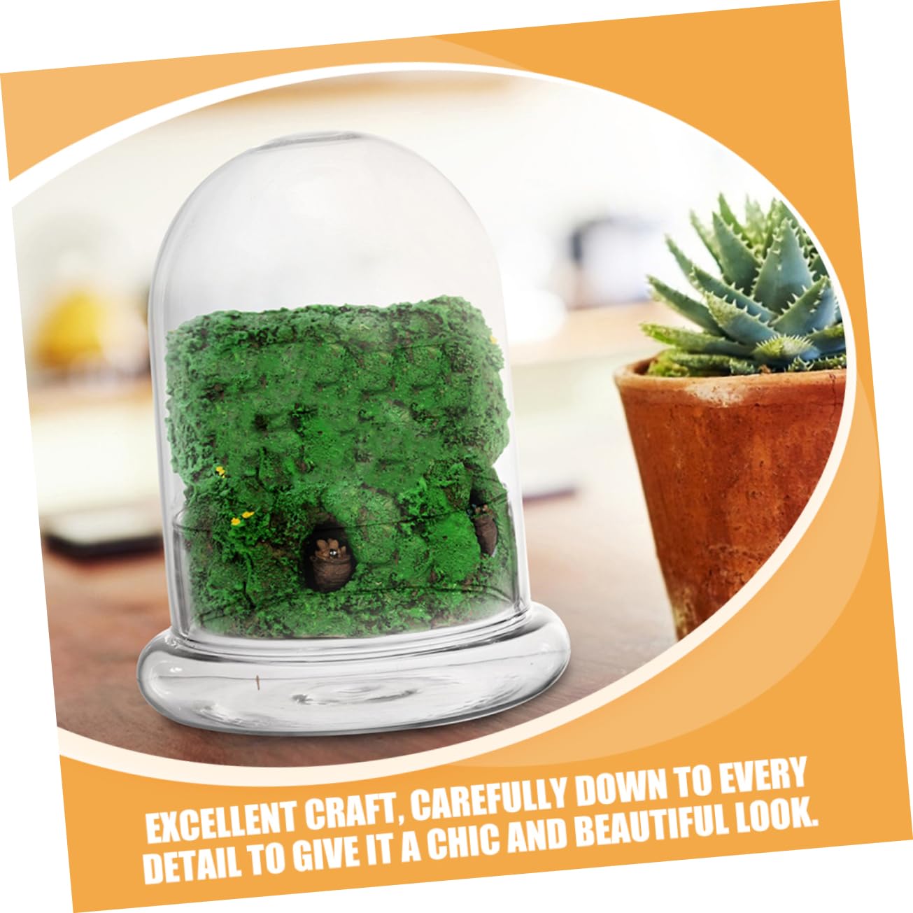 FUNOMOCYA 2pcs Eco Bottle Moss Micro Landscape Bottle Glass Terrarium DIY Plant Container