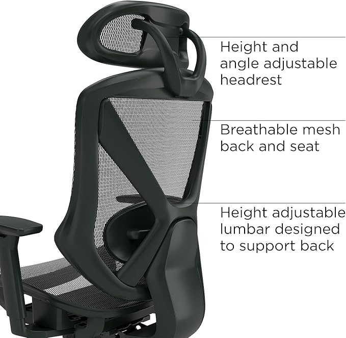 Staples Dexley Ergonomic Task Chair, Lumbar Support, Adjustable Height