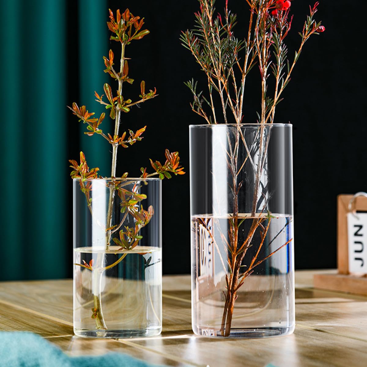 NUOBESTY Glass Flower Vase Hydroponic Cylinder Vase 10cm X 25cm High Borosilicate Glass Terrarium for Indoor Plant Display and Home Décor